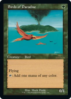 Birds of Paradise