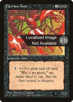 Carrion Ants