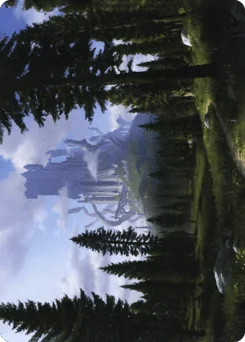 Forest