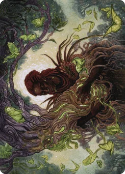 Circle of Dreams Druid