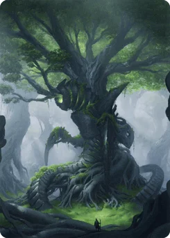 Forest