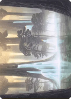 Waterlogged Grove