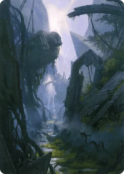 Swamp