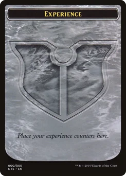 Experience
