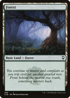 Forest