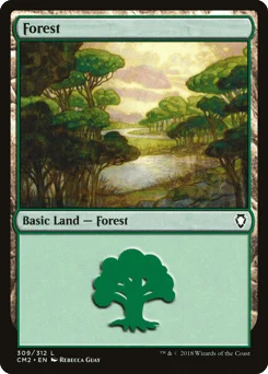 Forest