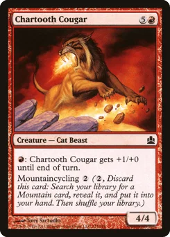 Chartooth Cougar