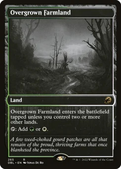 Overgrown Farmland