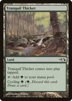 Tranquil Thicket