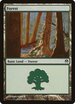 Forest