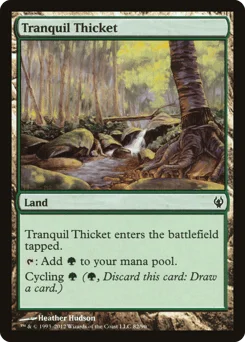 Tranquil Thicket