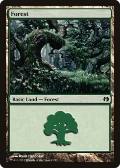 Forest