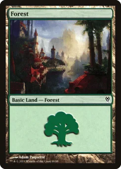 Forest