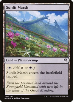 Sunlit Marsh