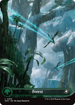 Forest