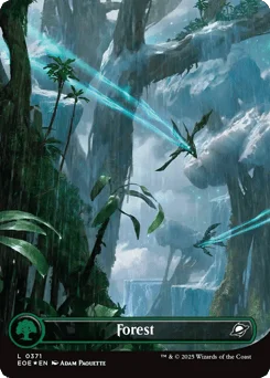 Forest