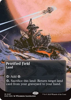 Petrified Field