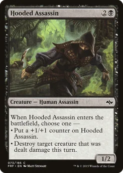 Hooded Assassin