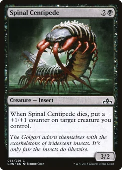 Spinal Centipede