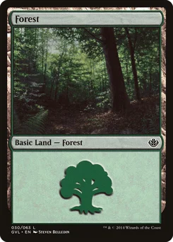 Forest