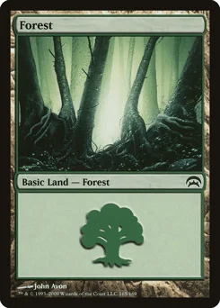 Forest