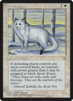 Arctic Foxes