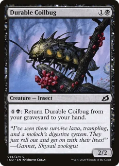Durable Coilbug