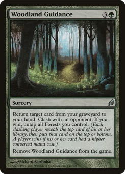 Woodland Guidance