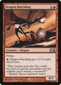 Dragon Hatchling