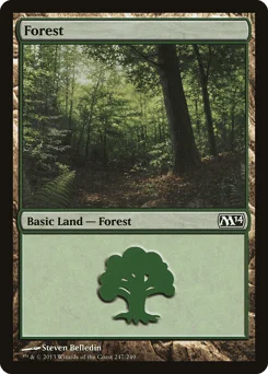 Forest