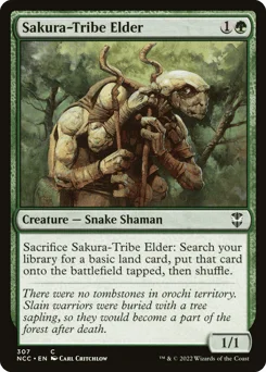 Sakura-Tribe Elder