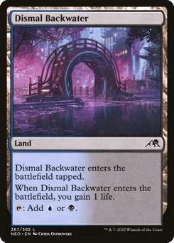 Dismal Backwater