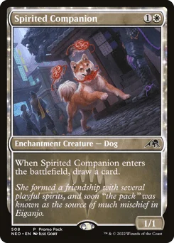 Spirited Companion