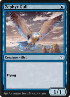 Zephyr Gull