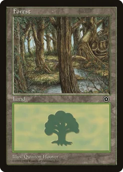 Forest