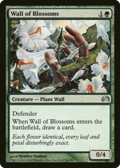 Wall of Blossoms
