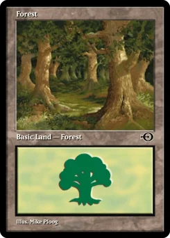 Forest