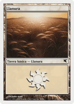 Plains