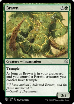 Brawn