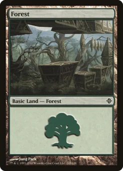 Forest