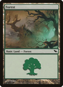Forest