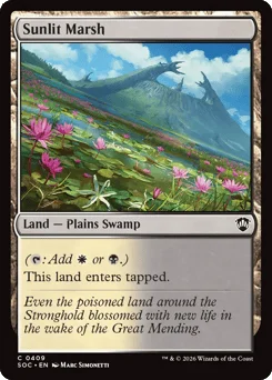Sunlit Marsh
