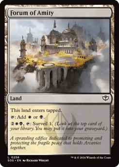 Forum of Amity