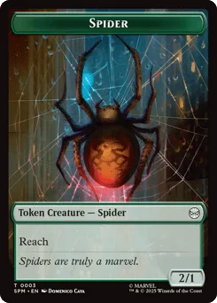 Spider
