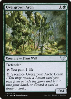 Overgrown Arch