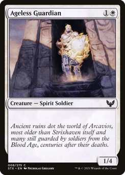 Ageless Guardian