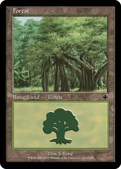 Forest