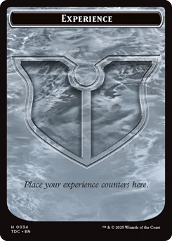 Experience