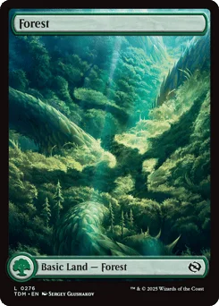 Forest