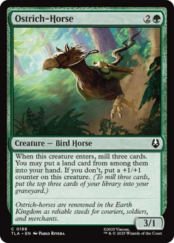 Ostrich-Horse